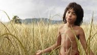 The Jungle Book (2016) | Image Source: Walt Disney Studios Motion Pictures